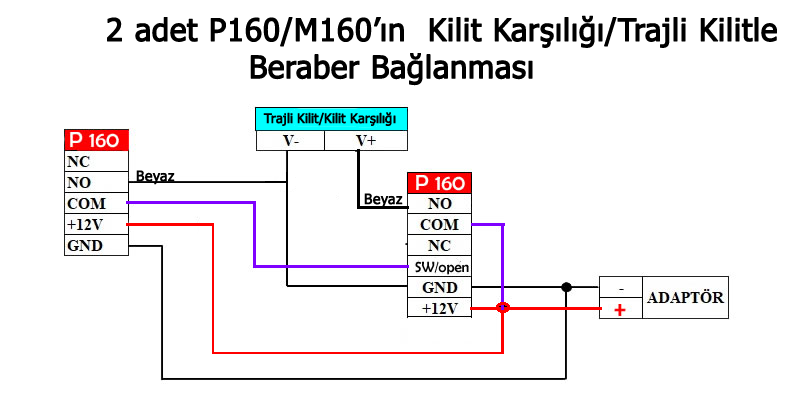 P1010 kart okuyucu
